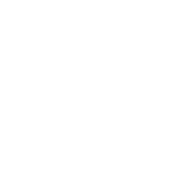 Cadillac logo